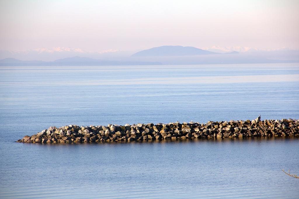 Star Of The Sea Guest House White Rock Buitenkant foto